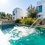 Laurus 2 By Ezoria * Paphos